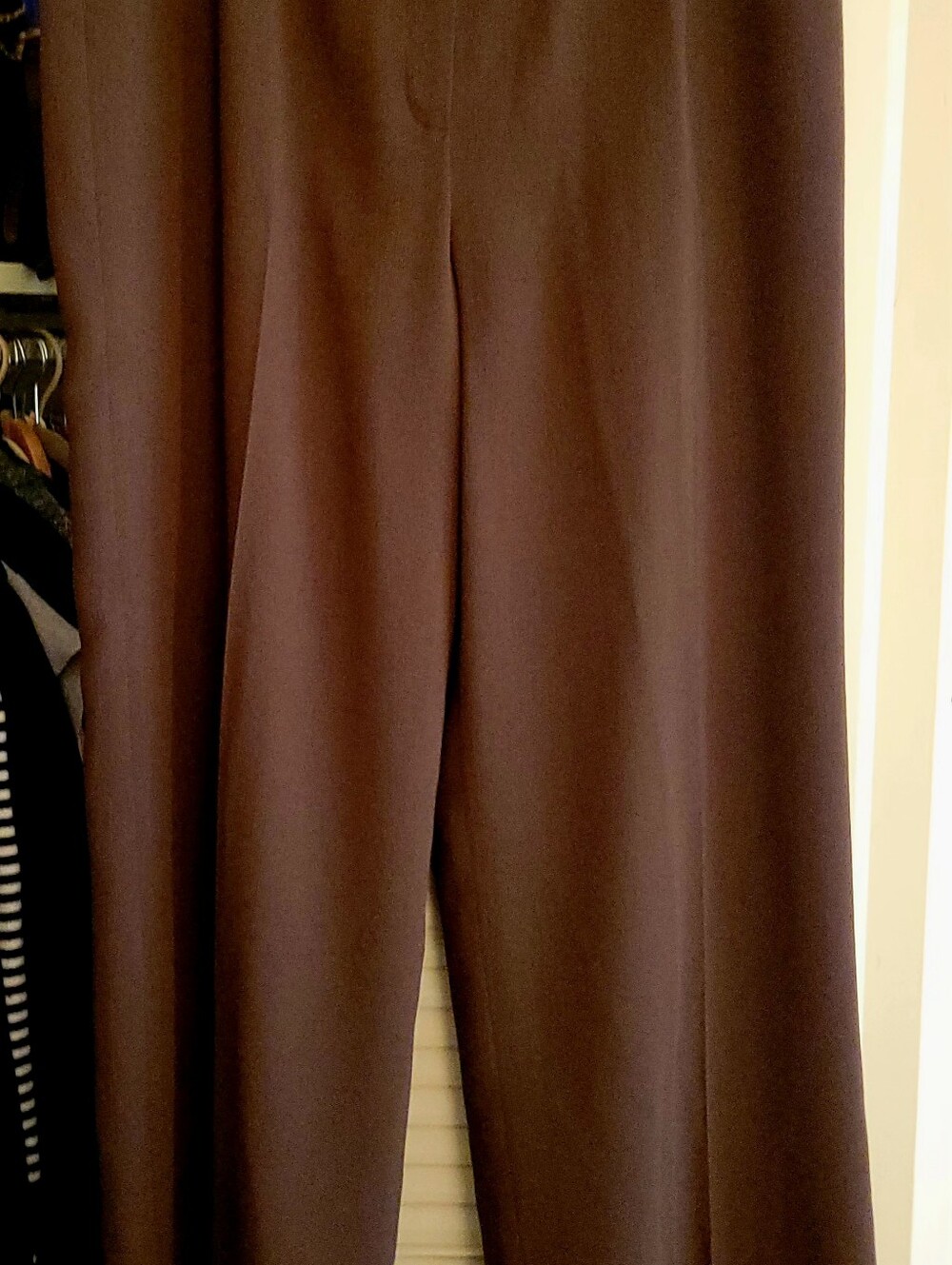Jones New York Classic Brown Women's Trousers